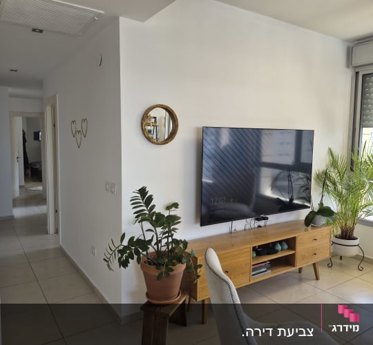 סלון עם טלוויזיה, צמחים ועיצוב מודרני